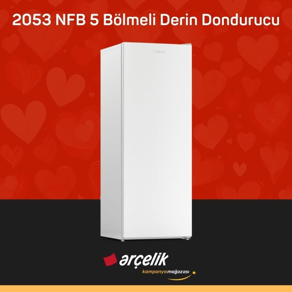 ARÇELİK 2053 NFB 5 Bölmeli Derin Dondurucu